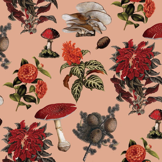 Shrooms Wallpaper, peach and red