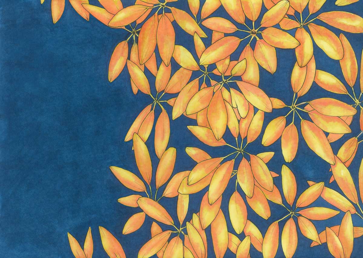 Sun Stars - Open Edition Paper Print