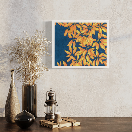 Sun Stars - Open Edition Paper Print