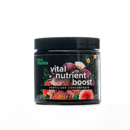 Vital Nutrient Boost