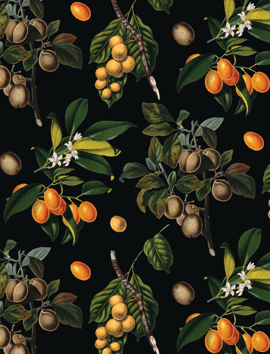 Vintage Orchard Wallpaper, black