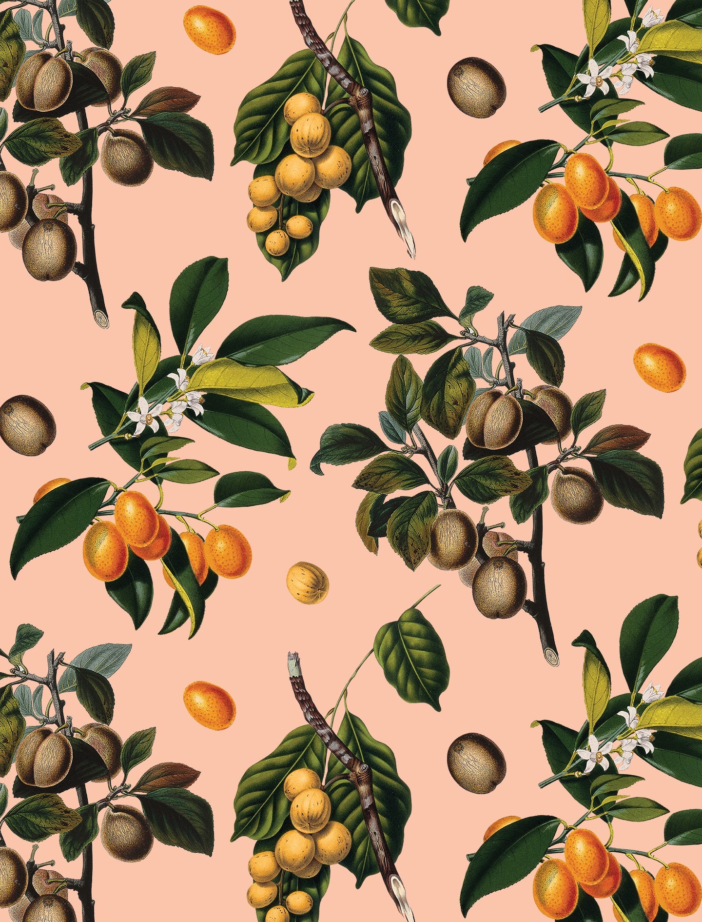 Vintage Orchard Wallpaper, peach