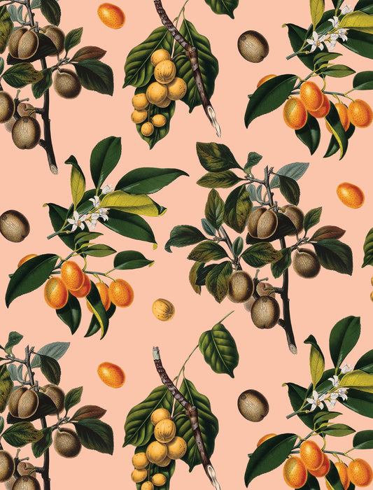 Vintage Orchard Wallpaper, peach