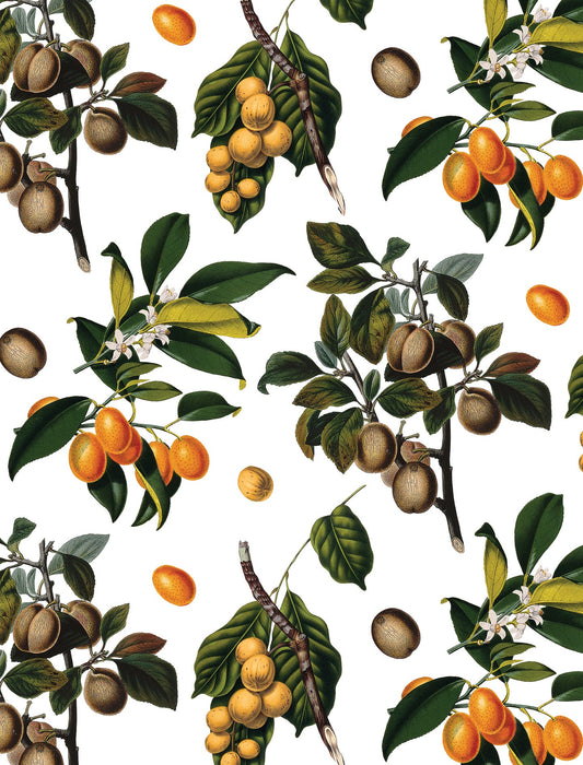 Vintage Orchard Wallpaper, white