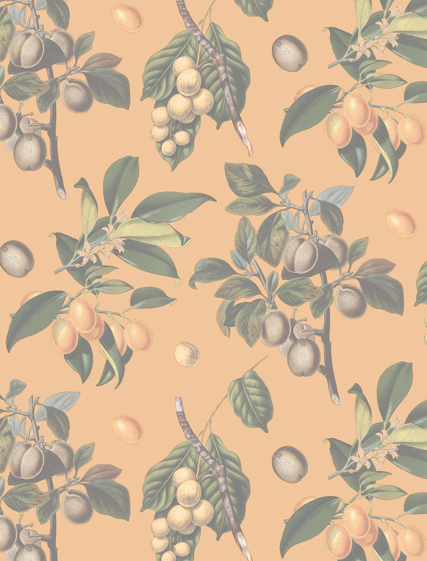 Muted Vintage Orchard Wallpaper, orange