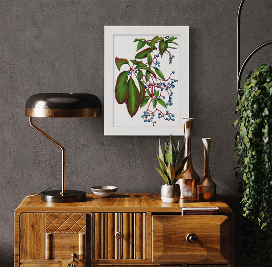 Virginia Creeper - Open Edition Paper Print