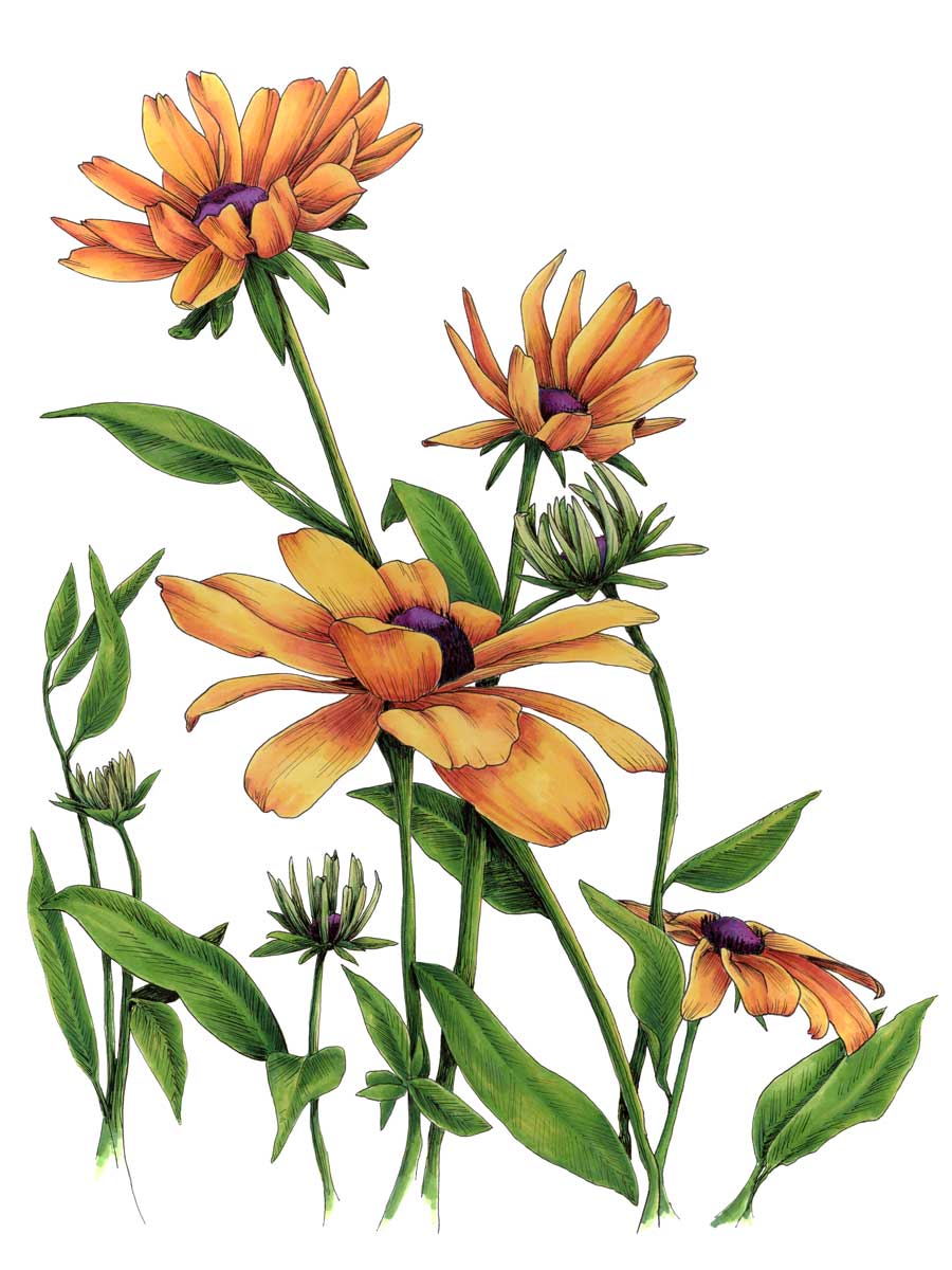 Yellow - Open Edition Paper Print