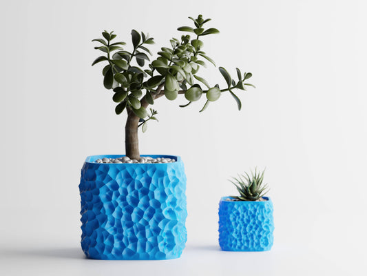 Chisel Eye catching Plant Pot Container | Statement Piece