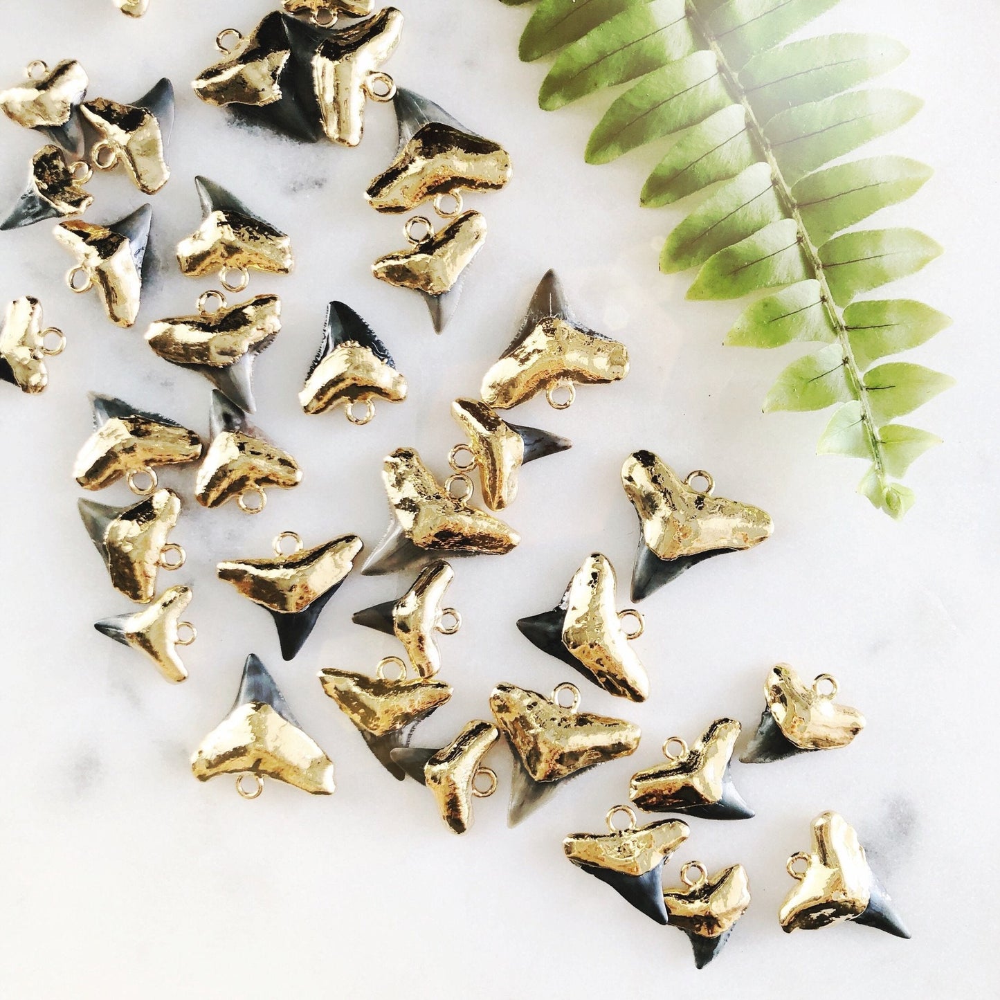 Black Gold Dipped Shark Tooth Necklace - Mano Niho Kahi Black