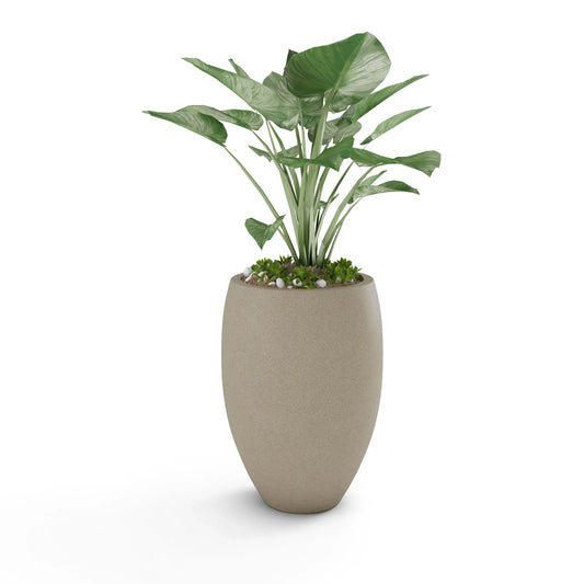 Brandy Planter