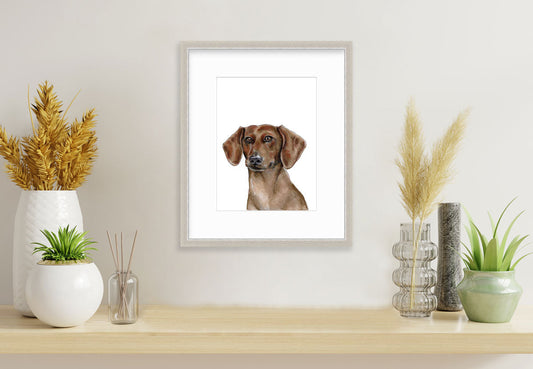 The Dachshund - Open Edition Paper Print