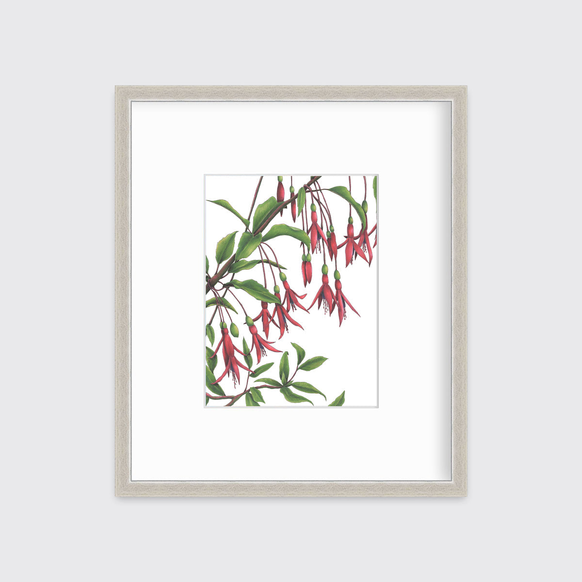 Hummingbirds - Open Edition Paper Print