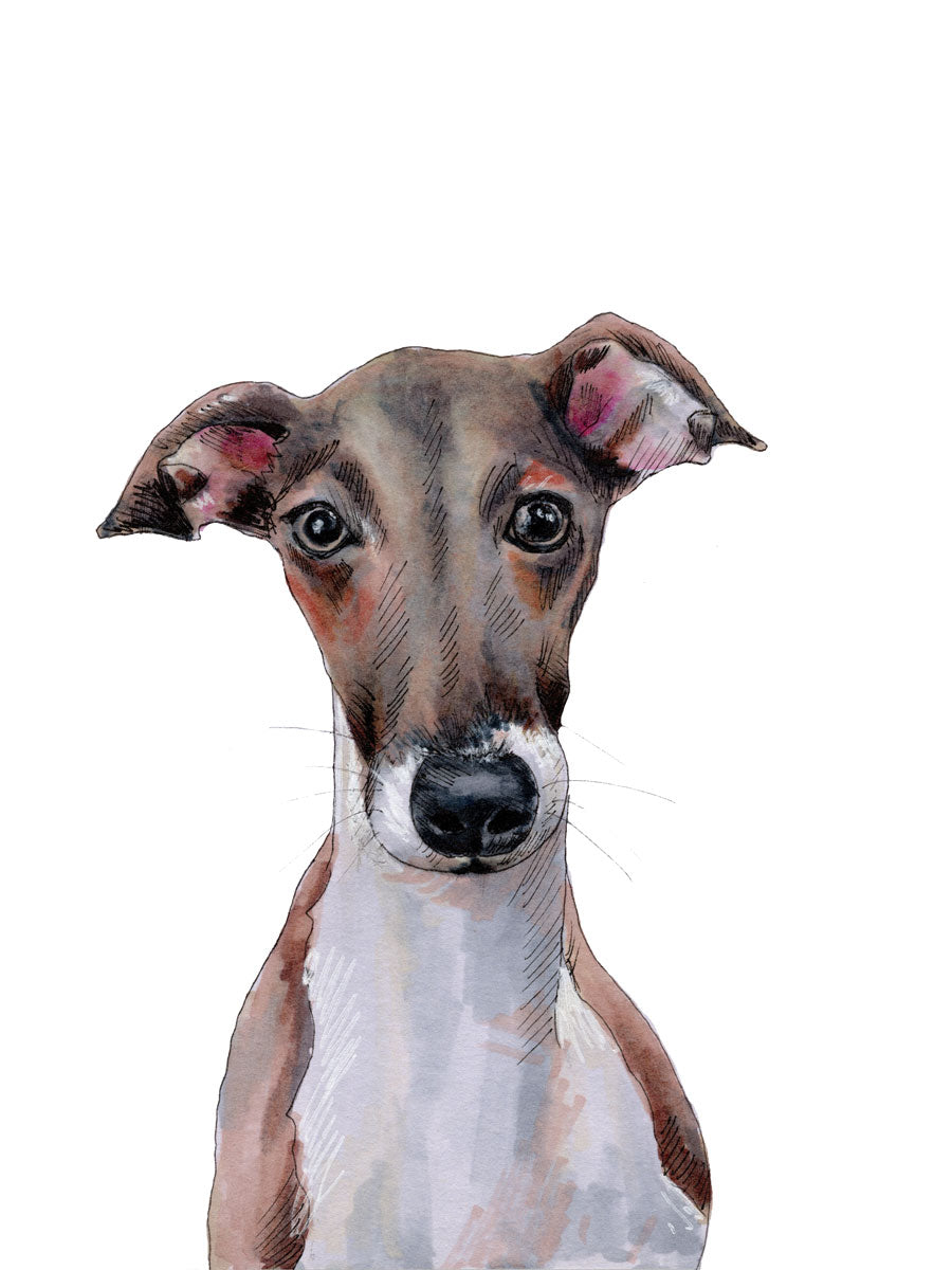 The Iggy - Open Edition Paper Print