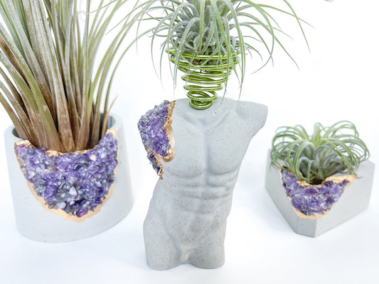 MALE BODY AIR PLANT HOLDER