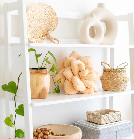 Lil' Pop Succulent® - Blush Peach