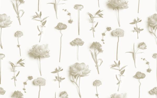 Fresh to Death Wallpaper, small pattern, neutrals