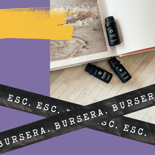 Embrace Self-Care This Sunday with BURSERA Essential Oils