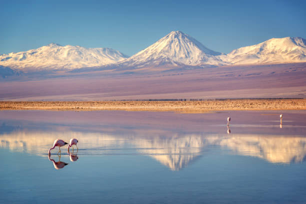 Exploring the Wonders of Chile: From the Otherworldly Atacama Desert to the Lush Lake District