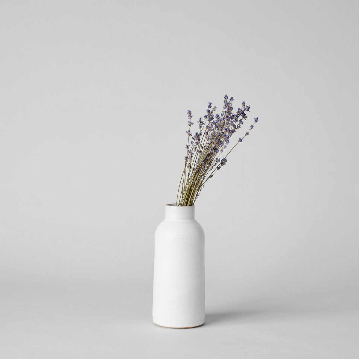 Dried Lavender