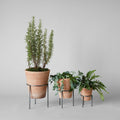 Wrought Iron Planter Stand