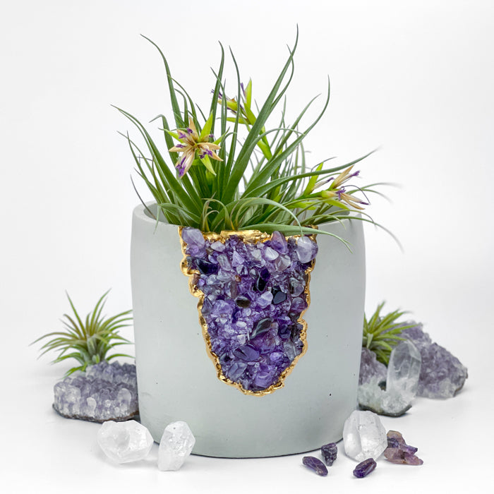 N°5 AMETHYST AURA PLANTER