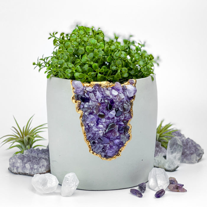 N°5 AMETHYST AURA PLANTER
