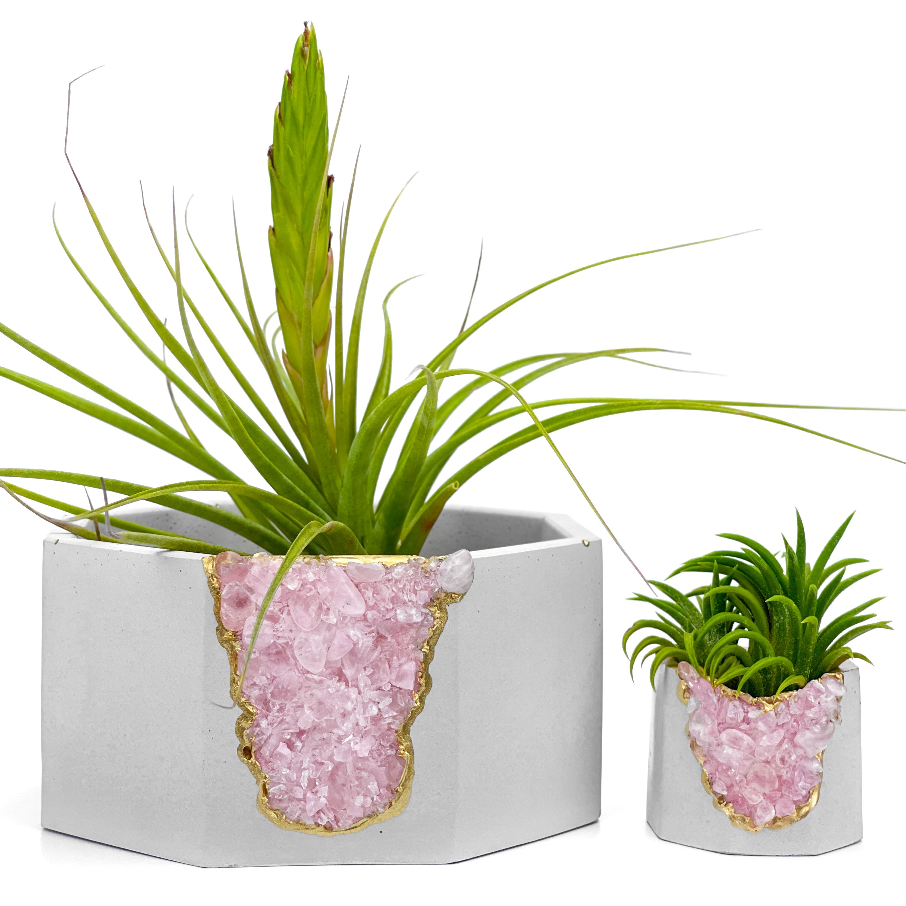 ROSE QUARTZ GEODE PLANTER