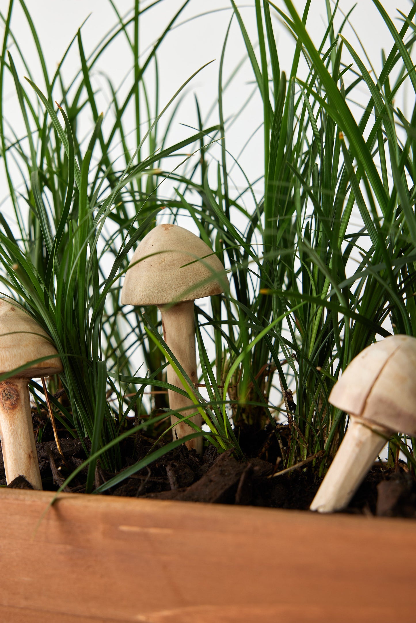 Wooden Mushroom Garden Stick