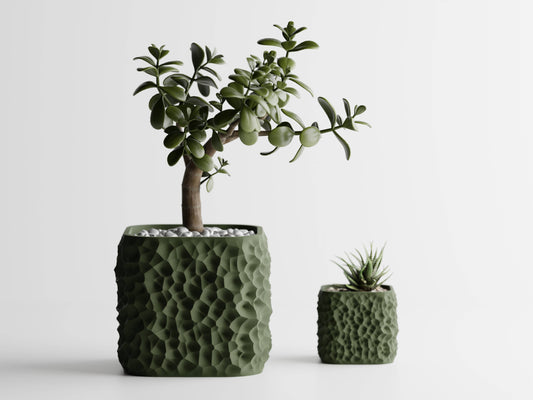 Chisel Eye catching Plant Pot Container | Statement Piece