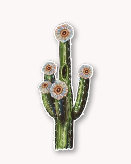 Cactus Sticker