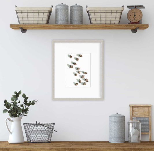 Acorns - Open Edition Paper Print