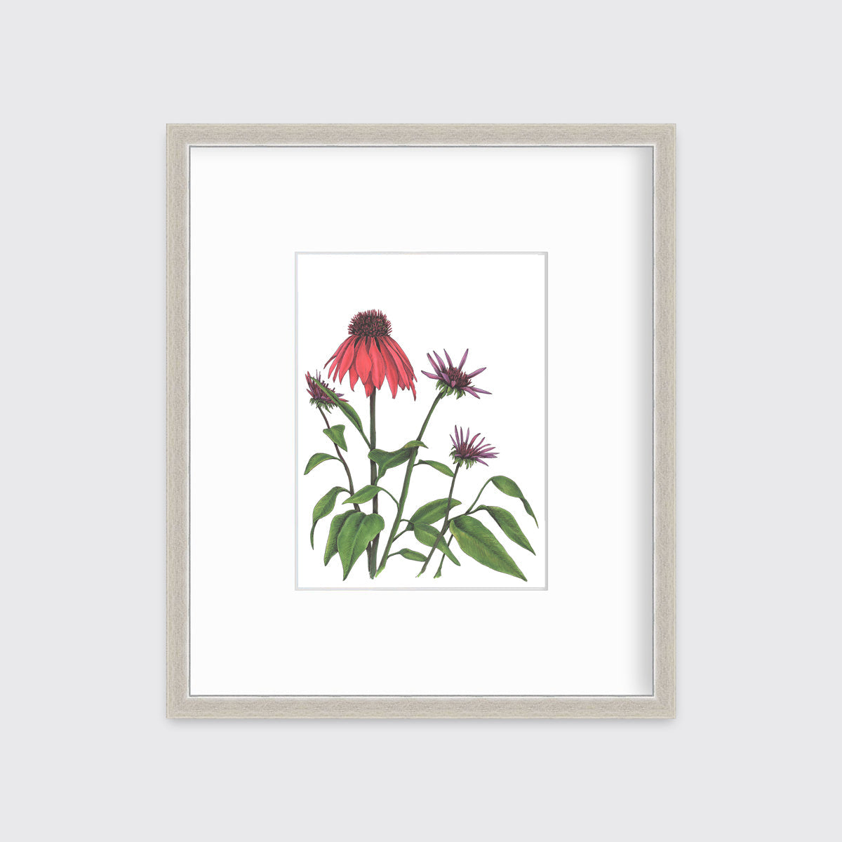 Big Red - Open Edition Paper Print