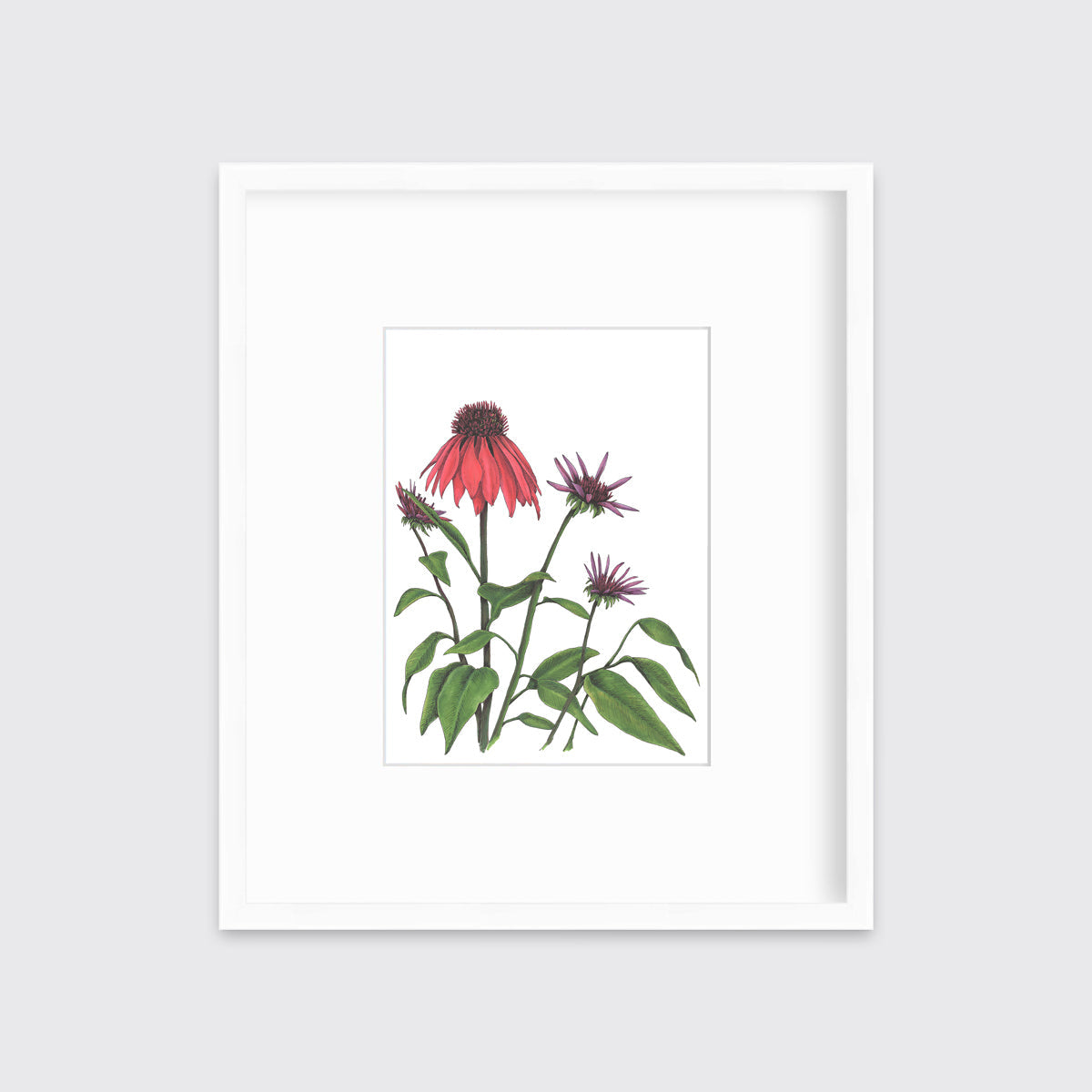 Big Red - Open Edition Paper Print