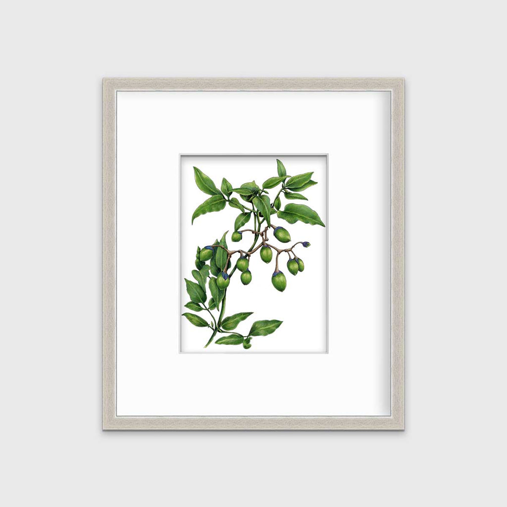 Bittersweet - Open Edition Paper Print