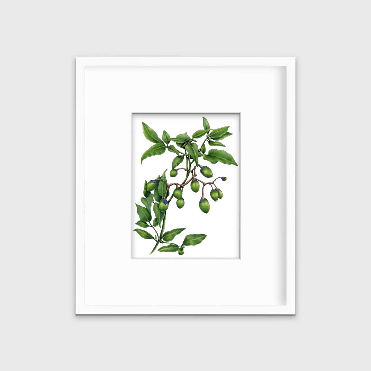 Bittersweet - Open Edition Paper Print