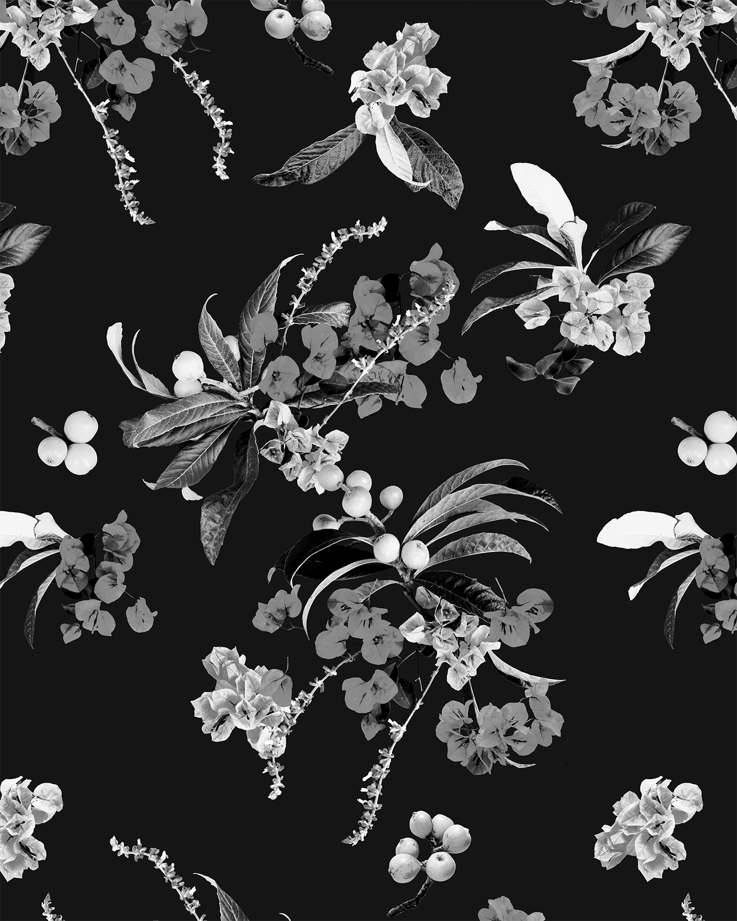 Floral Loquat Wallpaper, black and white