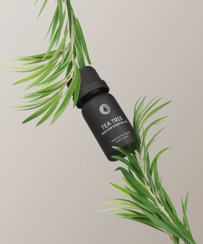 Tea Tree Essential Oil