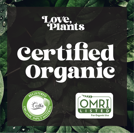 Houseplant Care Kit
