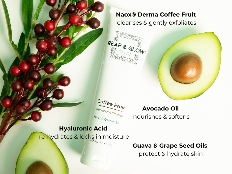 Coffee Fruit Antioxidant Cleanser + Ayurvedic Deep Hydrating Rejuvenation Creme