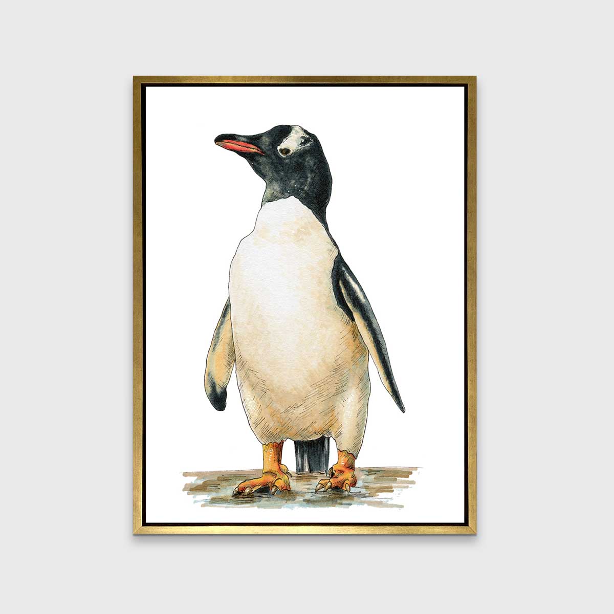 Cool - Open Edition Canvas Print