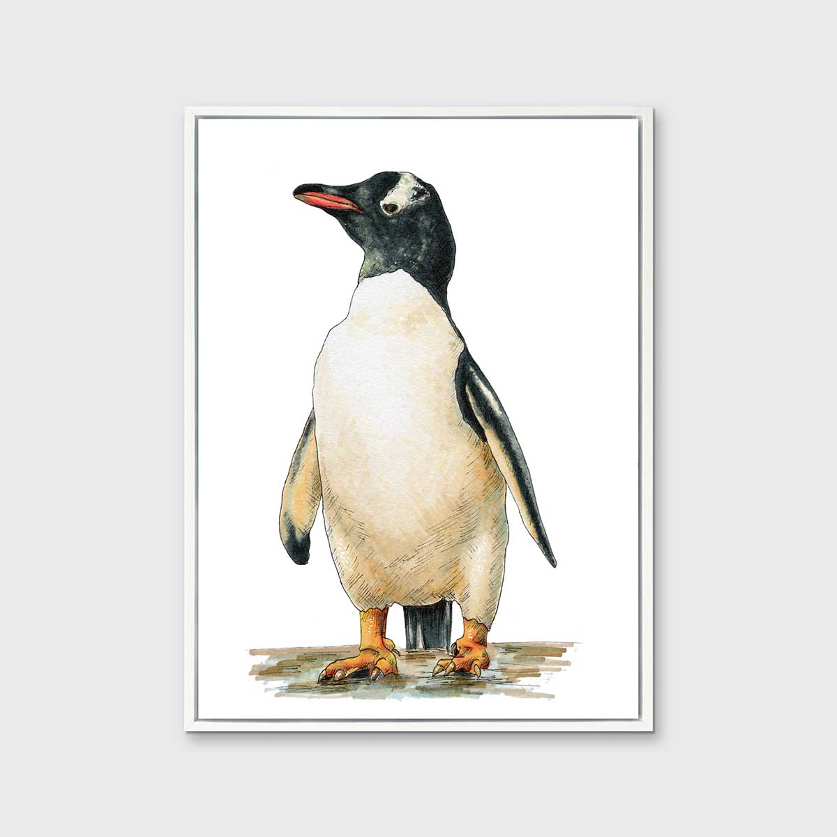 Cool - Open Edition Canvas Print