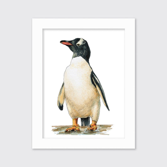 Cool - Open Edition Paper Print
