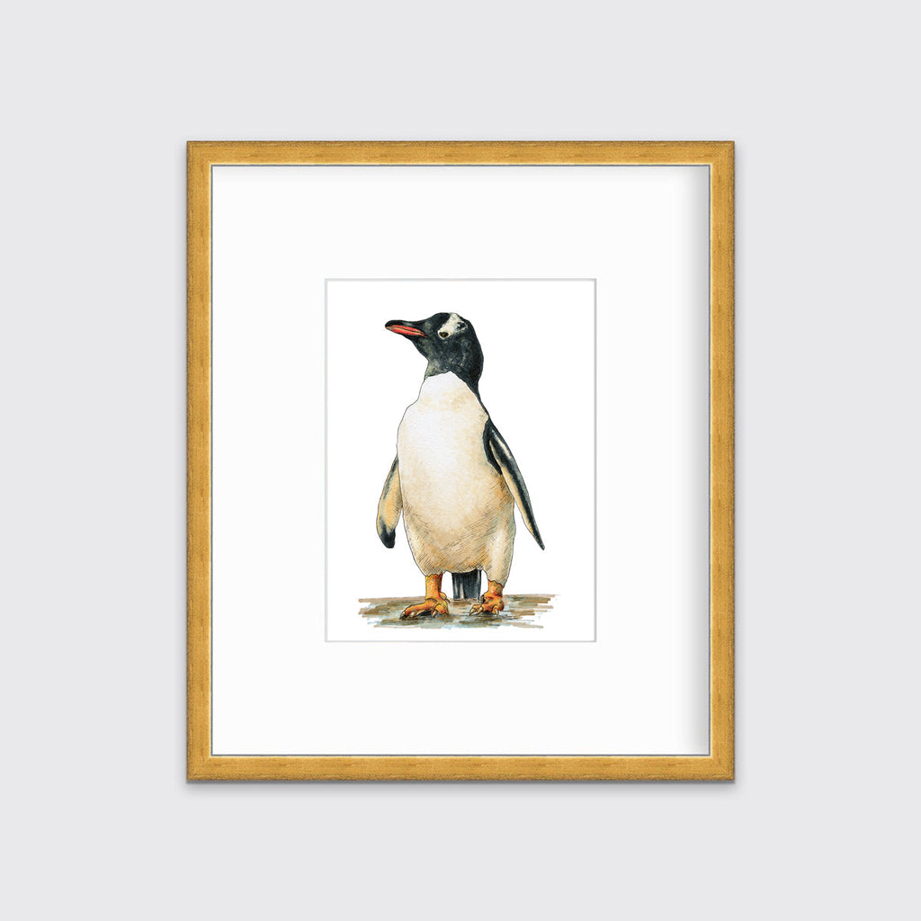Cool - Open Edition Paper Print