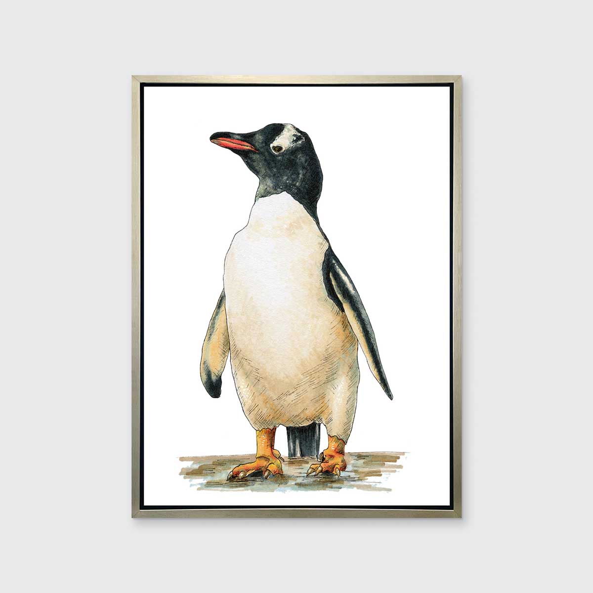 Cool - Open Edition Canvas Print