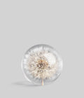 Dandelion Botanical Resin Paperweight