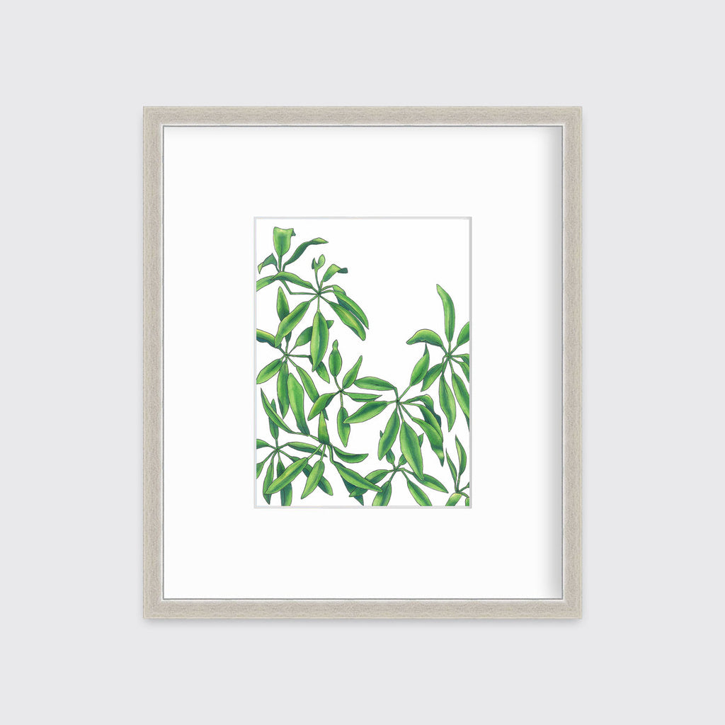 Earth Stars - Open Edition Paper Print