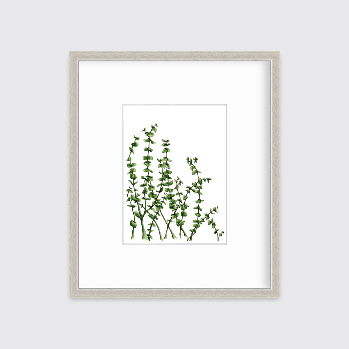Eucalyptus - Limited Edition Paper Print