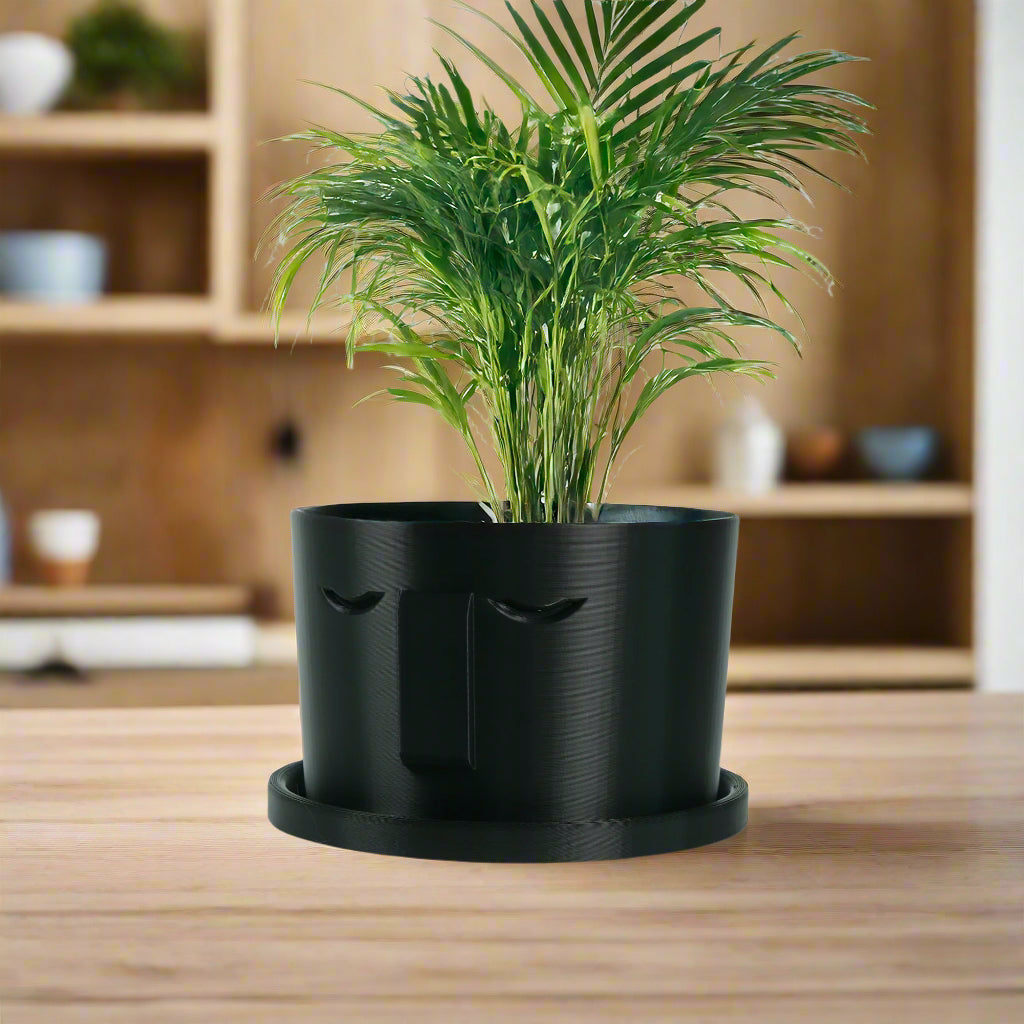 Minimal Face Planter, Small Medium Large, With Drip Tray and Great Drainage