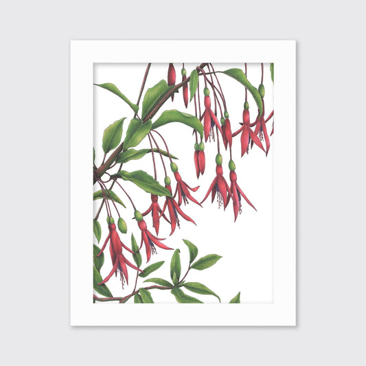 Hummingbirds - Open Edition Paper Print