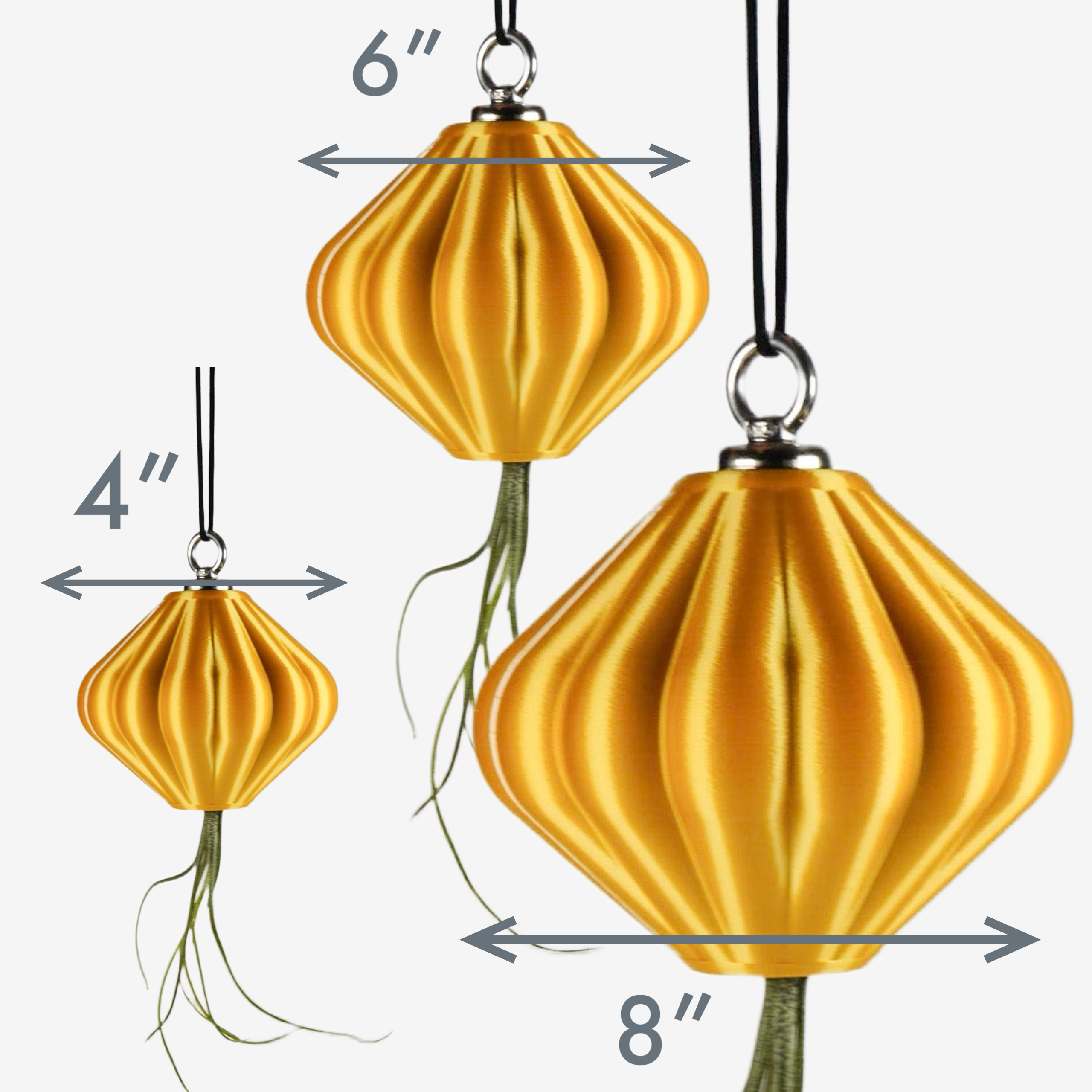 MAGNETIC Air Planter, JellyFish, Air Plant Included